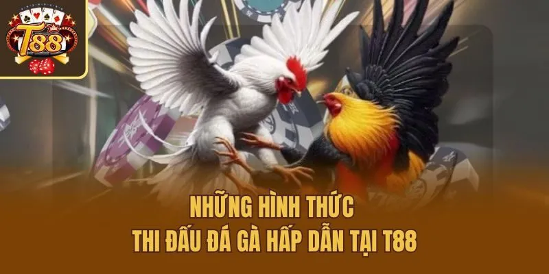 Những hình thức thi đấu đá gà hấp dẫn tại T88