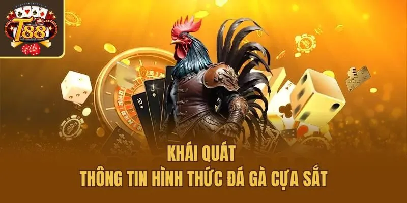 Khái quát thông tin hình thức đá gà cựa sắt