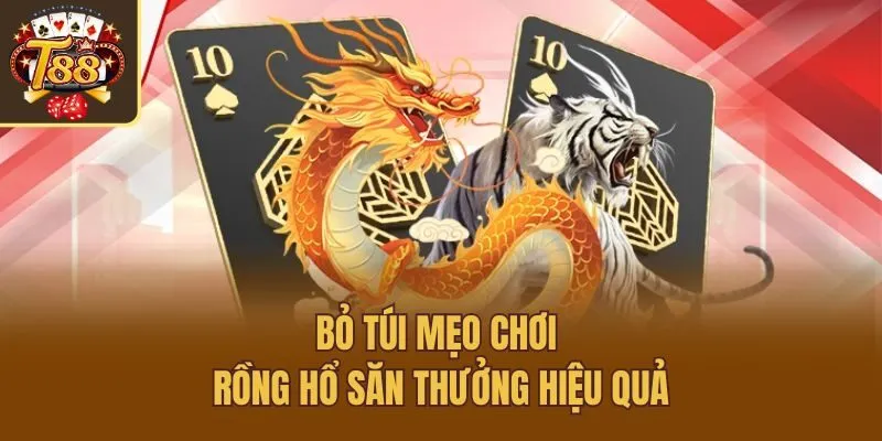 Bỏ túi mẹo chơi rồng hổ săn thưởng hiệu quả